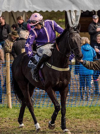 Race 5 - The Southern Grand national (21 of 96).jpg
