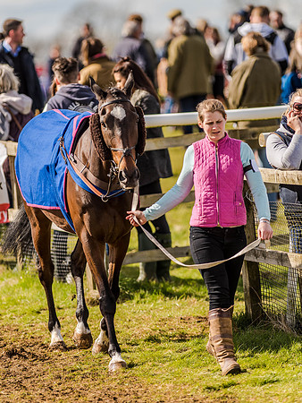 Race 4 - Ladies Open [Nov-Vet] (12 of 82).jpg