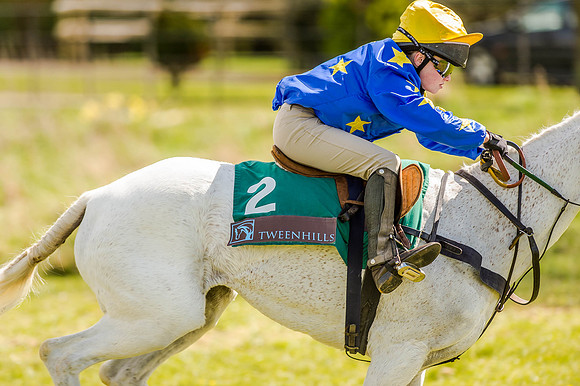 Pony Races (35 of 127).jpg