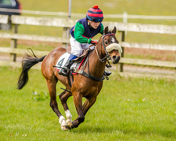 Pony Race 1  (33 of 65).jpg