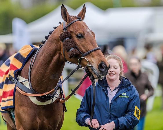Race 4 - PPORA Novice Riders (5 of 151).jpg