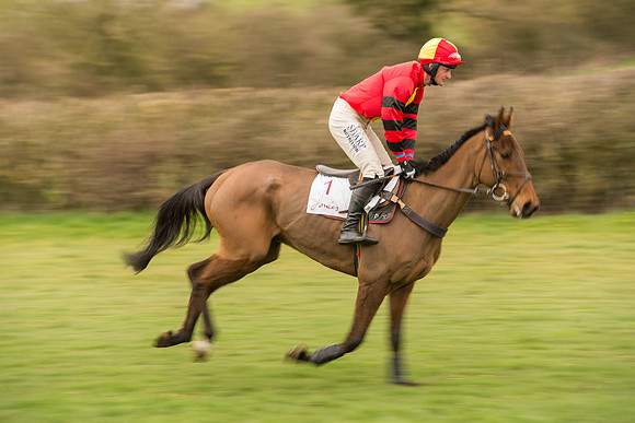 Race 7 - Open Maiden Division 2  (31 of 106).jpg