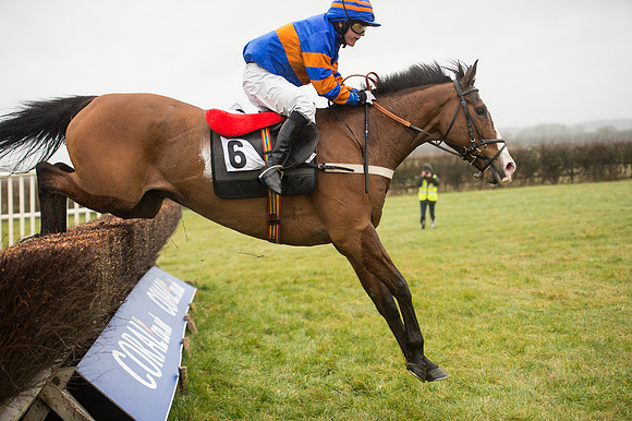 Race 1 - Confined Hunts (81 of 101).jpg