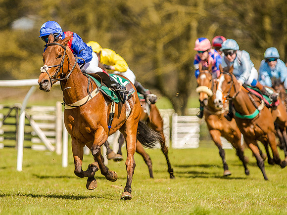 Pony Races (109 of 127).jpg