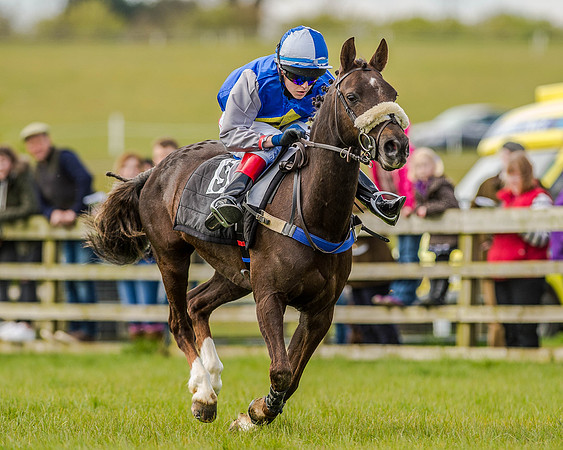 Pony Race 2 (65 of 77).jpg