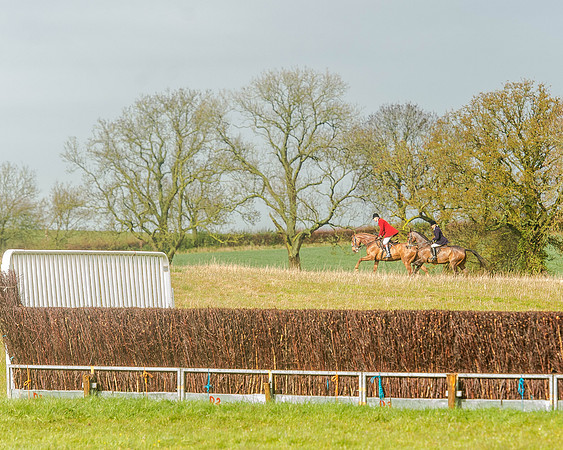 Race 5 - Open Maiden (81 of 147).jpg