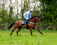 Race 3 - Young Horse Maiden (12 of 216)
