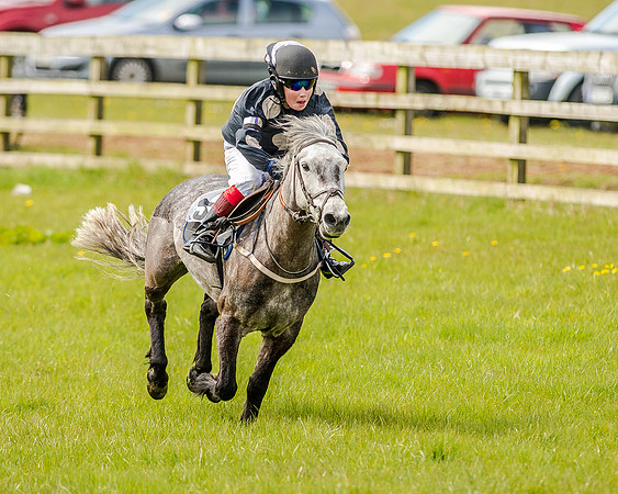 Pony Race 1  (40 of 65).jpg
