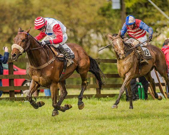 Race 5 - Open Maiden (117 of 147).jpg