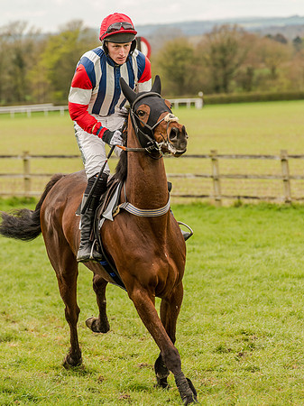Race 3 - Young Horse maiden 2m5f (38 of 124).jpg