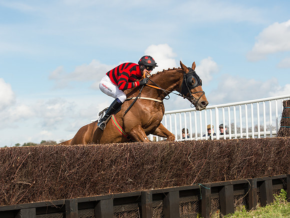 Race 2 - Confined Hunts Race (62 of 87).jpg