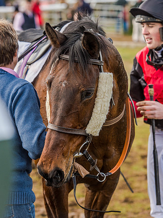 Race 6 - The Restricted Race [Nov-Vet] (76 of 84).jpg