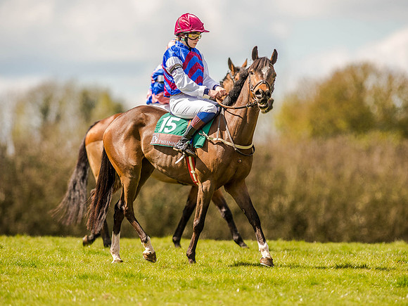 Pony Races (85 of 127).jpg