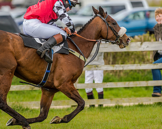 Pony Race 3 (48 of 78).jpg
