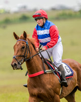 Race 2 - Open Maiden Race (12 of 80).jpg