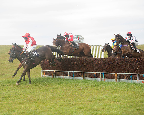 Race 5 - Open Maiden (87 of 147).jpg
