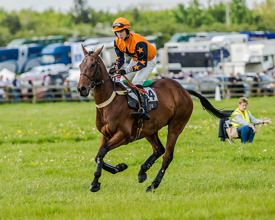 Race 4 - PPORA Novice Riders (53 of 196).jpg