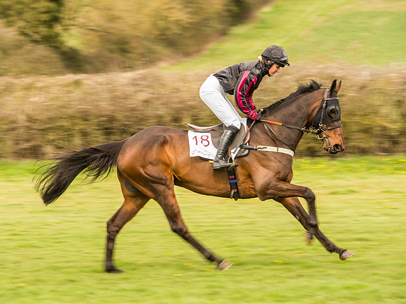Race 2 - PPORA Club Members race (22 of 77).jpg