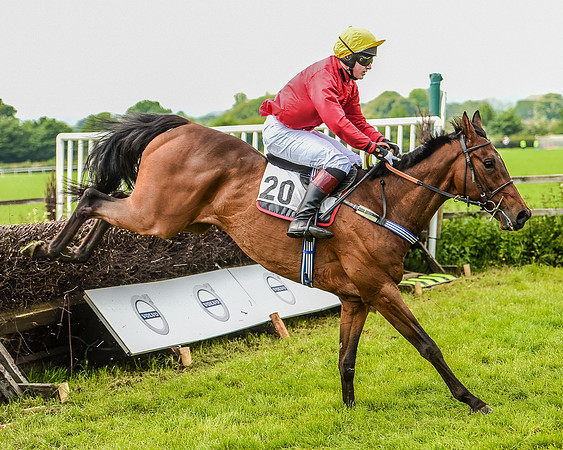 Race 2 - PPORA Members Novice Riders  (78 of 112).jpg