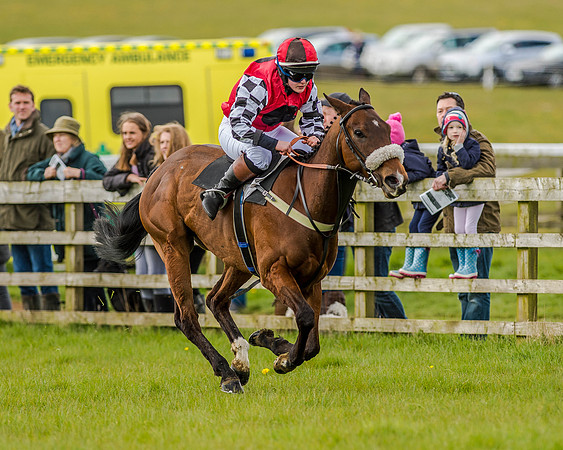 Pony Race 3 (36 of 78).jpg
