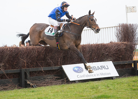 Race 7 - PPORA Novice Riders-62