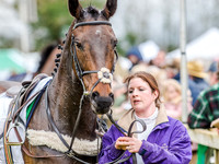 Race 2 - TBA Club Members Race for Mares and Fillies (13 of 108).jpg