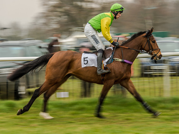 Race 5 - Open Maiden Division 2 (38 of 112).jpg