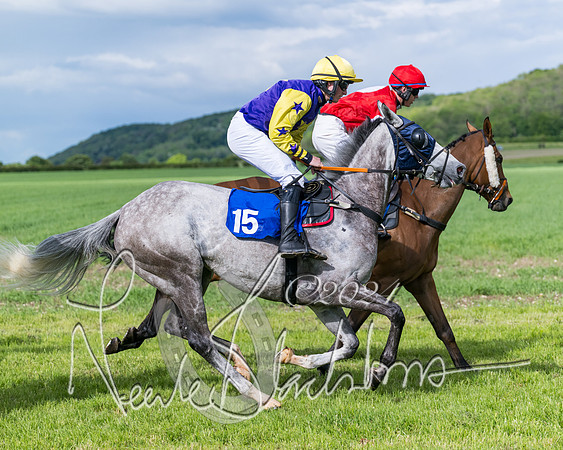 Race 5 - Restricted Race (218 of 434)