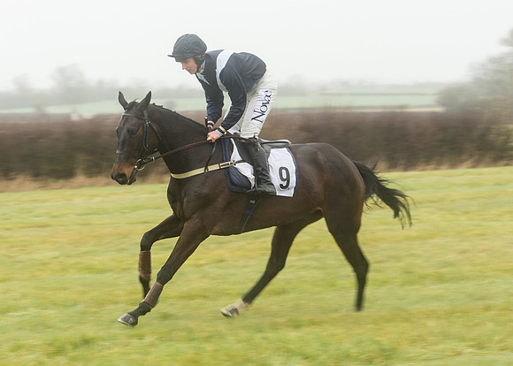 Race 1 - Confined Hunts (28 of 101).jpg