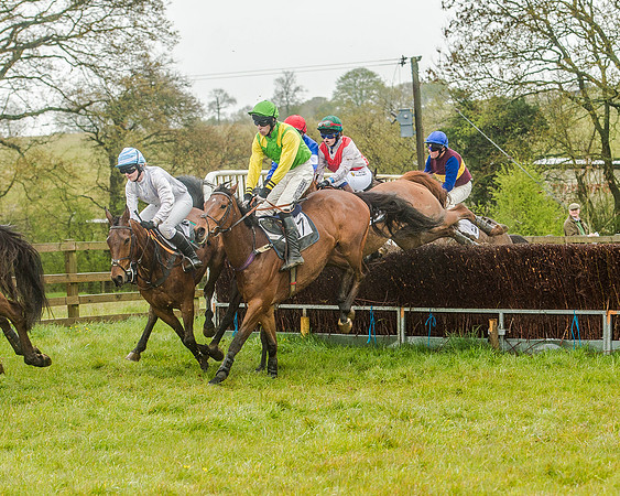 Race 5 - Restricted Race (62 of 146).jpg
