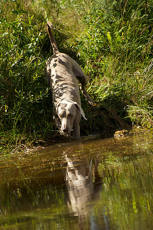 WCGB-04AUG-2013 Water Training Day 196
