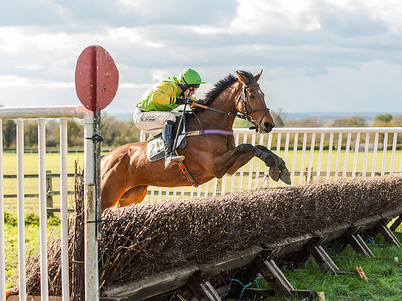 Race 6 - The Open Maiden (73 of 122).jpg