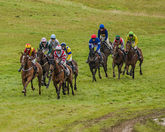 Race 5 - Restricted Race (48 of 146).jpg
