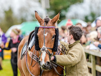 Race 2 - TBA Club Members Race for Mares and Fillies (8 of 108).jpg