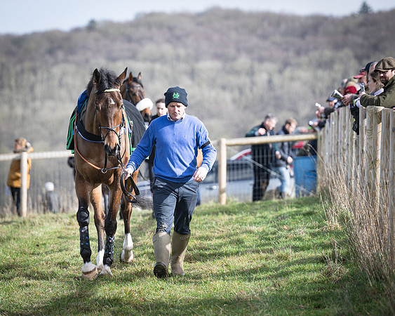 Race 1 - Four and Five year Old Maiden (5 of 137)