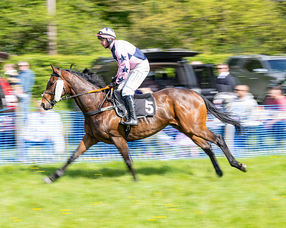 Race 4 -  2M4F Conditions  (31 of 102)