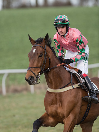 Race 6 - Open Maiden (33 of 110).jpg