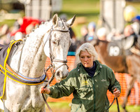 Race 6 - Open Maiden race (14 of 110).jpg