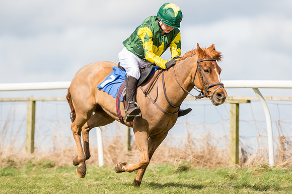 Pony Race 1 - 138cm  (45 of 57).jpg