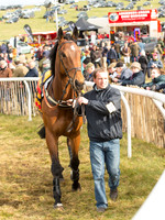 Race 6 - Open Maiden (9 of 110).jpg