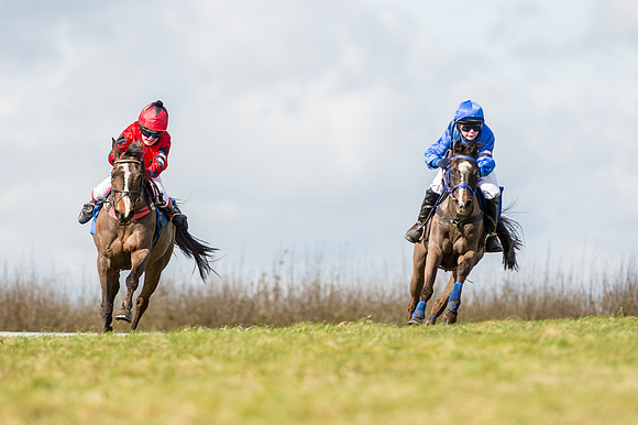 Pony Race 1 - 138cm  (16 of 57).jpg