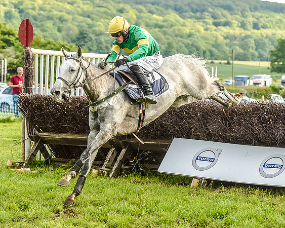 Race 7 - Div 2 - Open Maiden (107 of 163).jpg