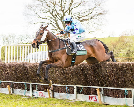 Race 6 - 6 year old and over Maiden 2m4f (40 of 62)