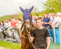 Race 6 - Open Maiden (4 of 130).jpg
