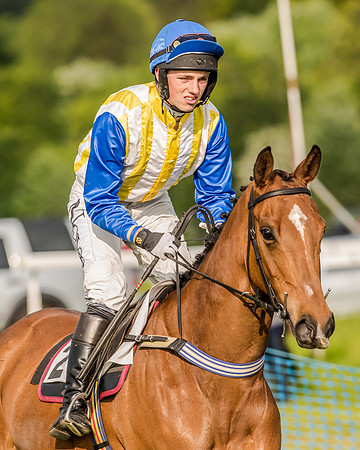 Race 7 - Div 2 - Open Maiden (61 of 163).jpg