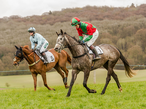 Race 3 - Young Horse maiden 2m5f (51 of 124).jpg