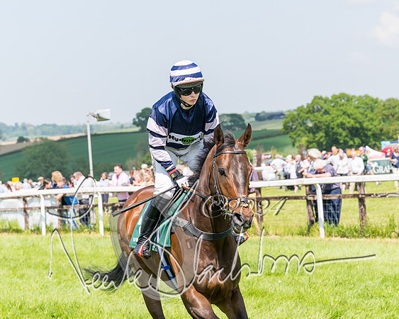 Race 2 - The Maiden  (129 of 442)