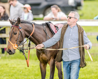 Pony Race 3 (13 of 56).jpg