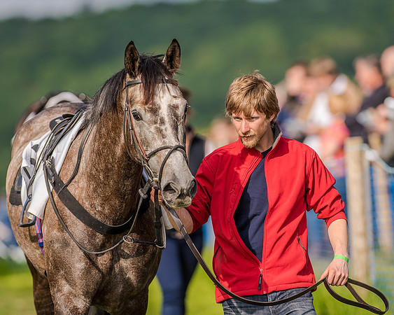 Race 7 - Div 1 - Open Maiden (7 of 94).jpg