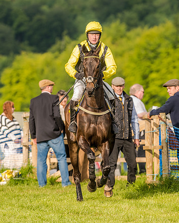 Race 7 - Div 2 - Open Maiden (49 of 163).jpg